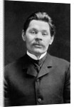 Portrait of the Author Maxim Gorky, c. 1906 by Anonymous