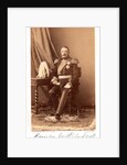 Portrait of Prince Pyotr Dmitrievich Gorchakov, 1860s by Anonymous