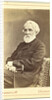 Portrait of the author Ivan S. Turgenev, Between 1880 and 1886 by Anonymous
