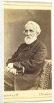 Portrait of the author Ivan S. Turgenev, Between 1880 and 1886 by Anonymous
