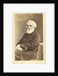 Portrait of the author Ivan S. Turgenev, Between 1880 and 1886 by Anonymous