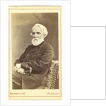 Portrait of the author Ivan S. Turgenev, Between 1880 and 1886 by Anonymous