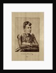 Portrait of the mathematician Sofia Vasilyevna Kovalevskaya, 1890 by Anonymous