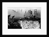The Battle of Stalingrad, 1943 by Anonymous