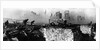The Battle of Stalingrad, 1943 by Anonymous