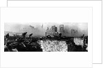 The Battle of Stalingrad, 1943 by Anonymous
