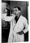 Rudolph Schoenheimer, 1930s by Anonymous