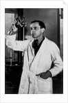 Rudolph Schoenheimer, 1930s by Anonymous