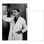 Rudolph Schoenheimer, 1930s by Anonymous