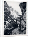 Marina Tsvetaeva in the mountains, 1930s by Anonymous