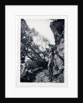 Marina Tsvetaeva in the mountains, 1930s by Anonymous