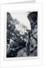 Marina Tsvetaeva in the mountains, 1930s by Anonymous
