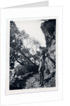 Marina Tsvetaeva in the mountains, 1930s by Anonymous