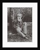 Composer Nikolai Rimsky-Korsakov in Vechasha, 1904 by Anonymous