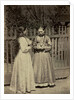 Don cossacks traditional feast costume, 1876 by Anonymous