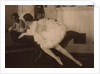 Lilya Brik, 1916 by Anonymous