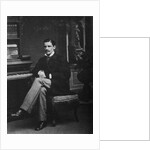 Pyotr Stolypin as a student of the Petersburg University, 1881 by Anonymous