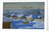 Winter, 1915 by Stanislav Yulianovich Zhukovsky