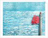 Scarlet Sails (after novel by Alexander Grin) by Michael Bychkov