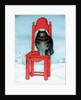 Red chair, 1995 by David Khaikin
