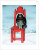 Red chair, 1995 by David Khaikin