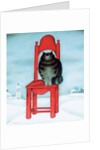 Red chair, 1995 by David Khaikin
