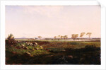 Mount Fyans woolshed (The woolshed near Camperdown), 1869 by Louis Buvelot