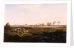 Mount Fyans woolshed (The woolshed near Camperdown), 1869 by Louis Buvelot