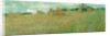 The Cornfield, c. 1900 by Emanuel Phillips Fox
