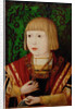 Emperor Ferdinand I at the age of ten or twelve years, c. 1520 by Anonymous