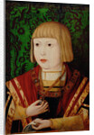 Emperor Ferdinand I at the age of ten or twelve years, c. 1520 by Anonymous