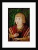 Emperor Ferdinand I at the age of ten or twelve years, c. 1520 by Anonymous