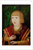 Emperor Ferdinand I at the age of ten or twelve years, c. 1520 by Anonymous
