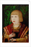 Emperor Ferdinand I at the age of ten or twelve years, c. 1520 by Anonymous