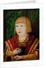 Emperor Ferdinand I at the age of ten or twelve years, c. 1520 by Anonymous
