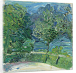 Lakeside Road near Gmunden, 1907 by Richard Gerstl