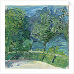 Lakeside Road near Gmunden, 1907 by Richard Gerstl