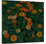 Marigolds, 1909 by Koloman Moser