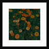 Marigolds, 1909 by Koloman Moser