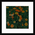 Marigolds, 1909 by Koloman Moser