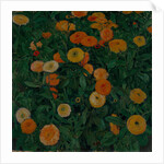 Marigolds, 1909 by Koloman Moser