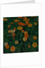 Marigolds, 1909 by Koloman Moser
