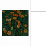 Marigolds, 1909 by Koloman Moser