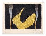 Loïe Fuller in the Dance The Archangel, 1902 by Koloman Moser