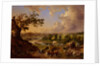 View of Moscow from the Sparrow Hills, 1837 by Johann Nepomuk Rauch