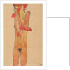 Nude Girl with Folded Arms, 1910 by Egon Schiele