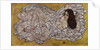 Reclining Woman, 1917 by Egon Schiele