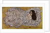 Reclining Woman, 1917 by Egon Schiele