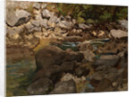 Mountain Stream with Boulders, 1888-1889 by Carl Schuch