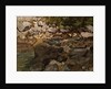 Mountain Stream with Boulders, 1888-1889 by Carl Schuch